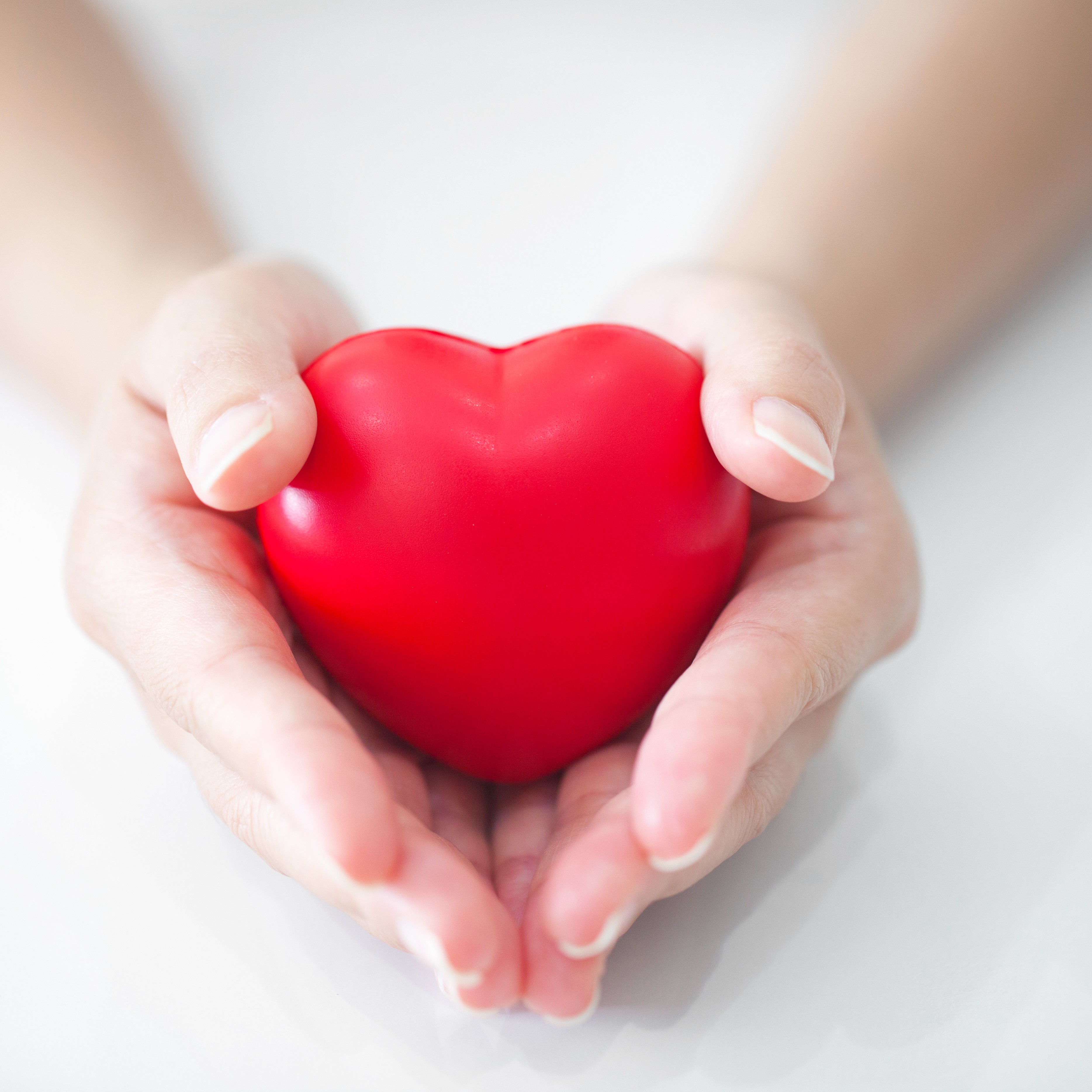 hand holding heart